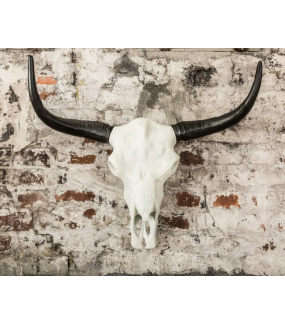 Ozdobna czaszka El Toro 70 cm biały czarny
