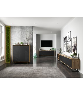 Piękna szafka RTV Apollo do salonu urządzonego w stylu industrialnym, loftowym oraz industrialnym.