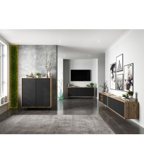 Piękna szafka RTV Apollo do salonu urządzonego w stylu industrialnym, loftowym oraz industrialnym