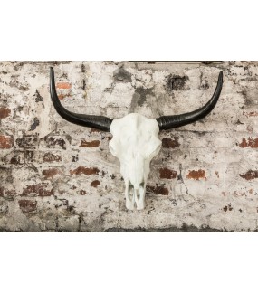 Ozdobna czaszka El Toro 70 cm biały czarny do salonu