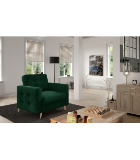 Fotel ASGARD w różnych kolorach do wyboru do salonu w stylu nwooczesnym